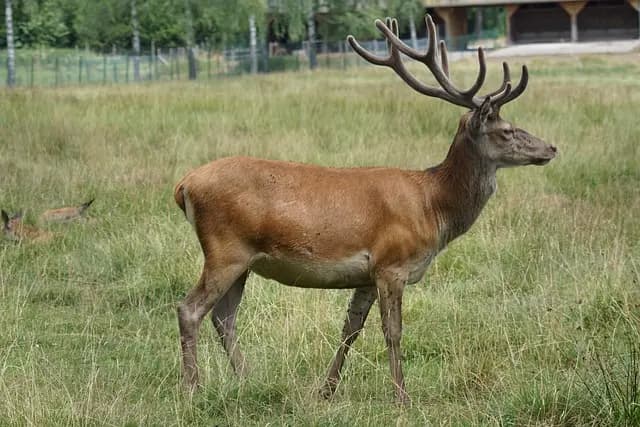 Najlepszy odkurzacz piorący 2026 - Poradnik zakupu